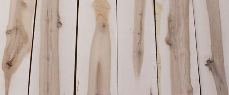 Rustic Hard Maple Hardwood Lumber