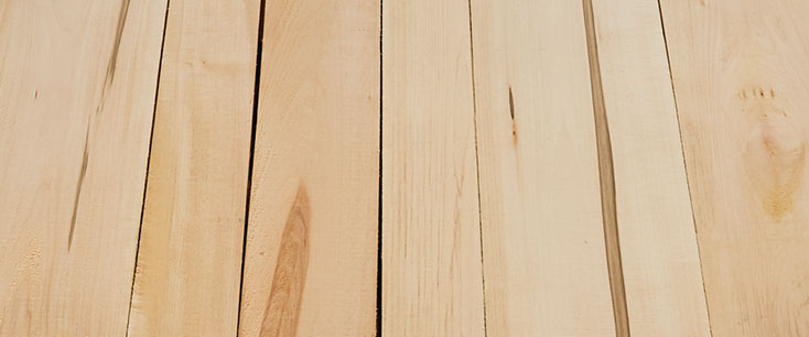 Basswood #1 Common Hardwood Lumber