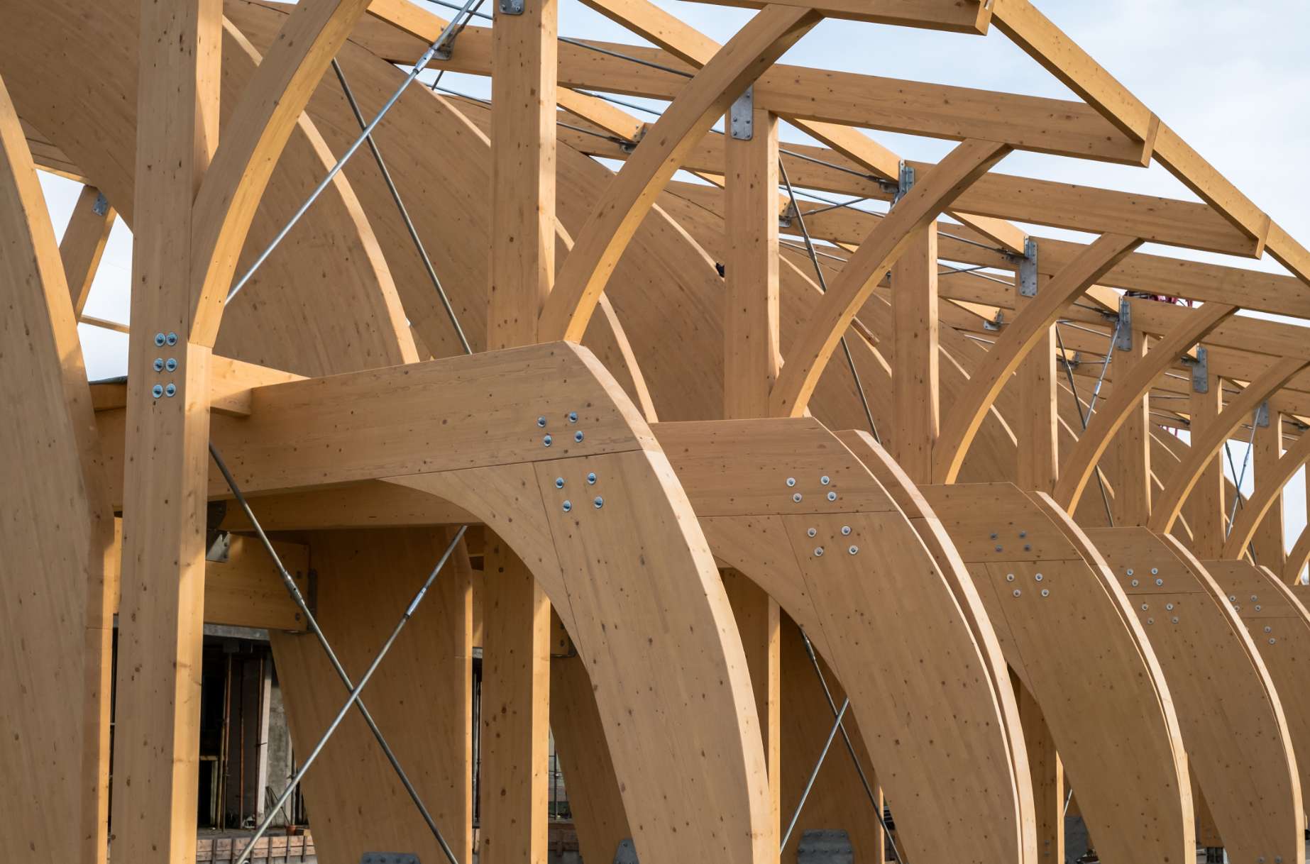 Hardwoods – The Future of Sustainable Construction