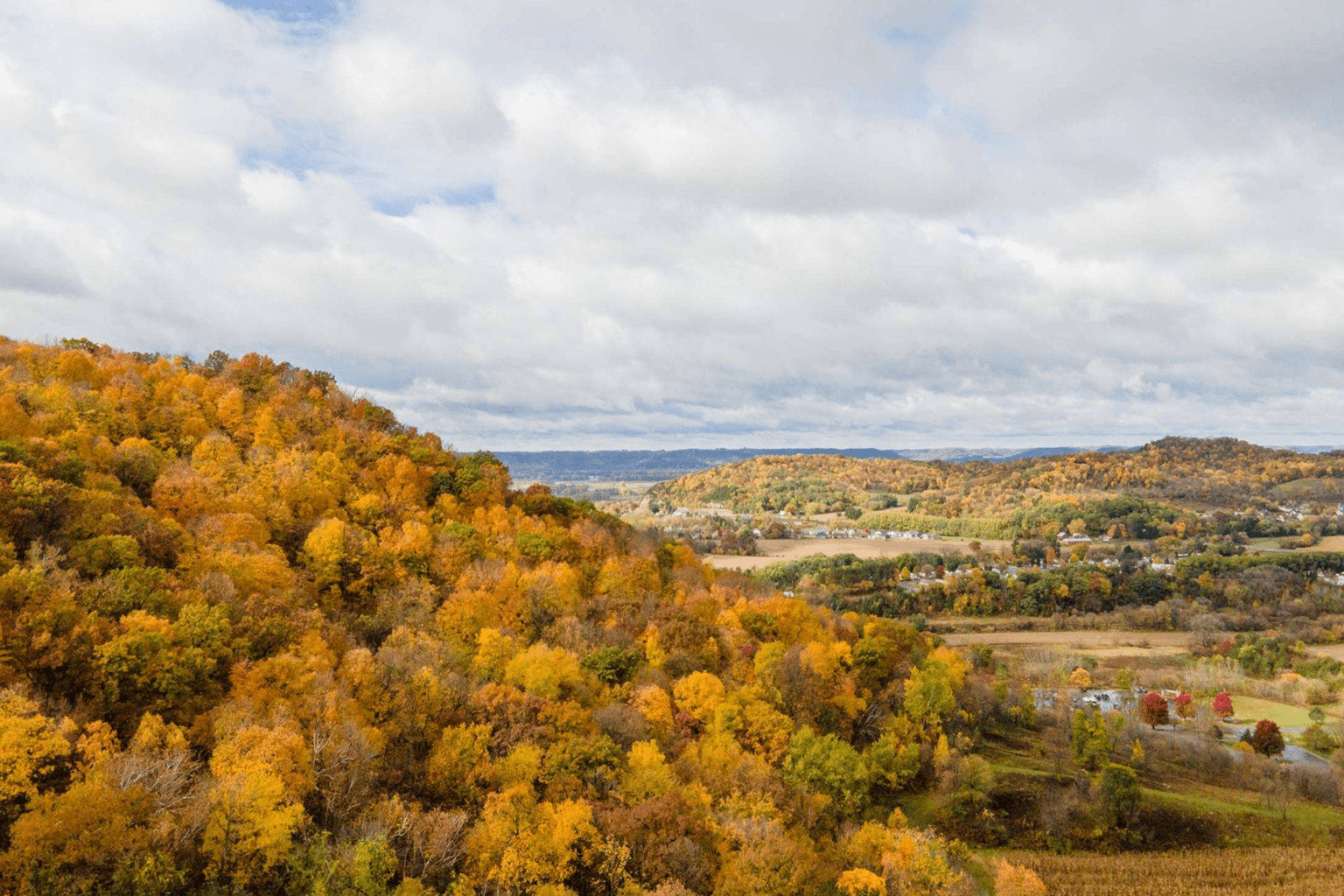 Unleashing the Potential of Hardwoods For Our Communities