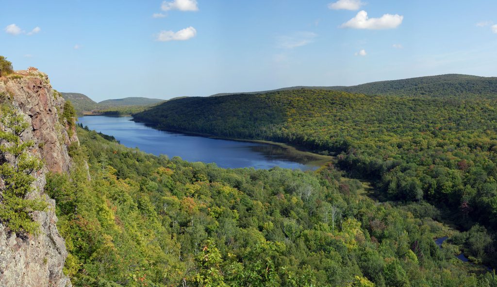 Appalachian Hardwood Forest