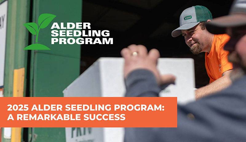 Alder Seedling Program 2025