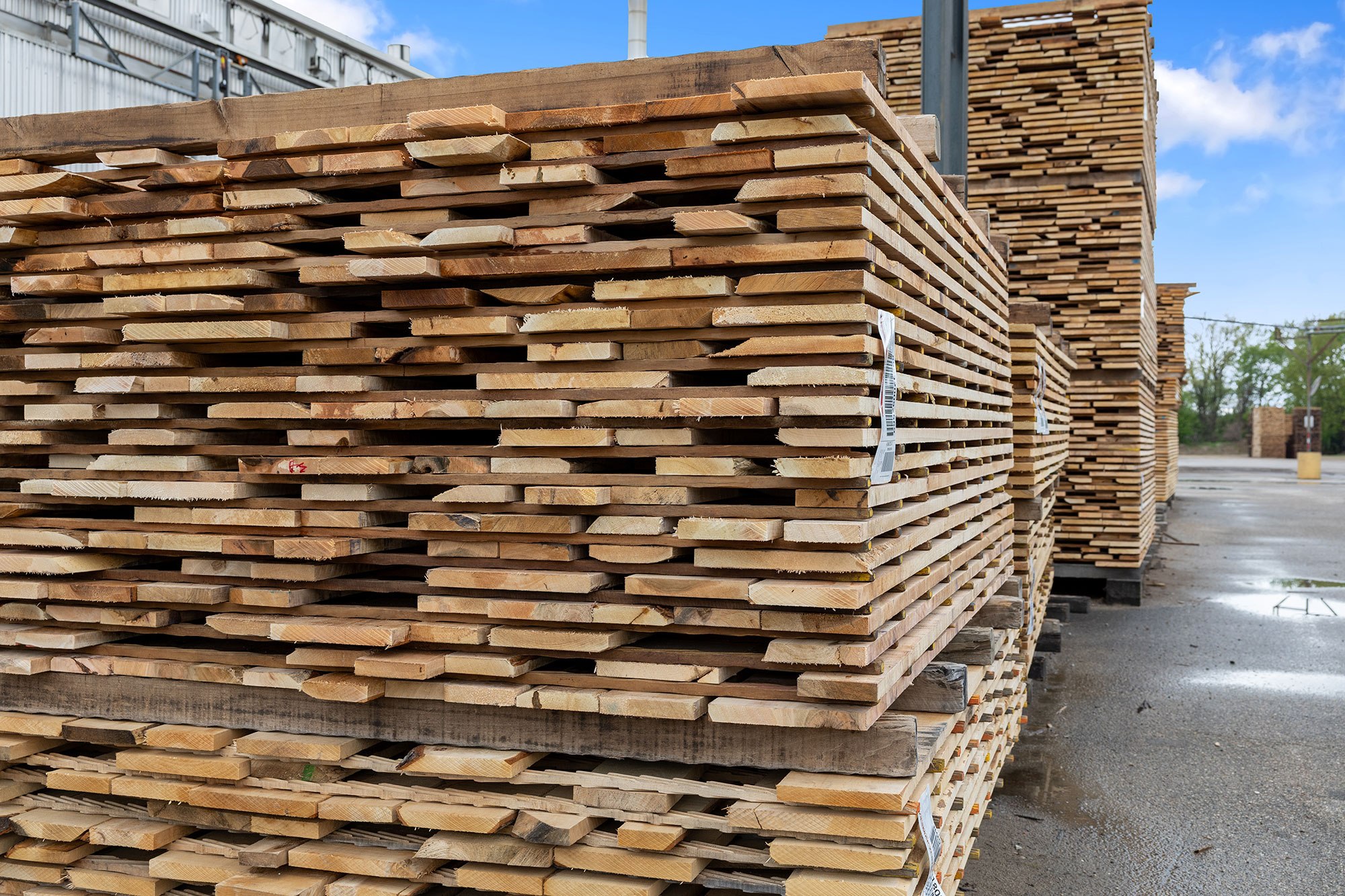 NWH Grand Rapids, MI NWH Grand Rapids, MI