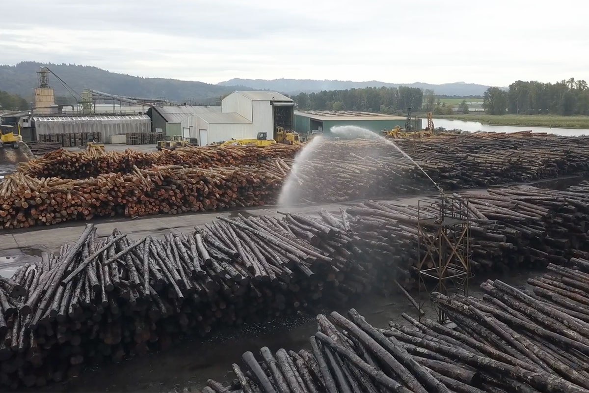 Alder Log Yard
