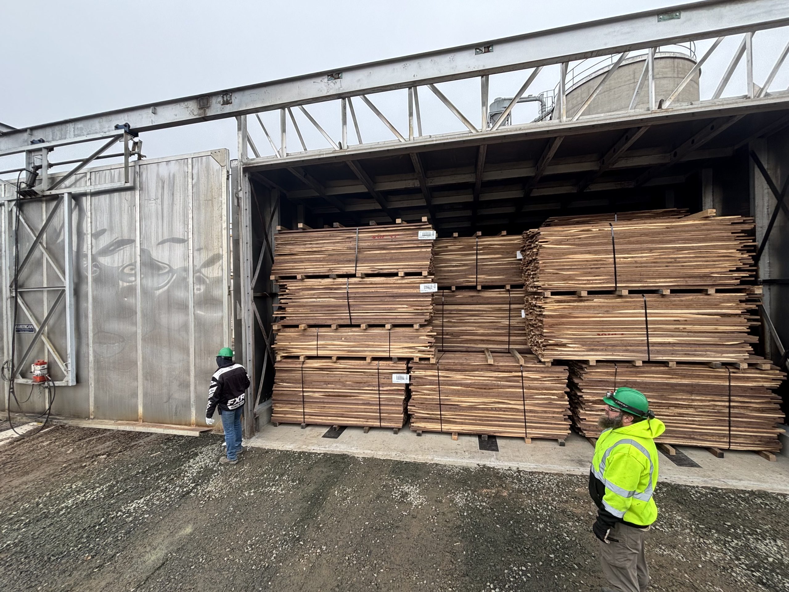 Dorchester Walnut Steamer-March 2026