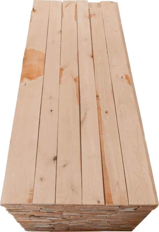 Alder CAB