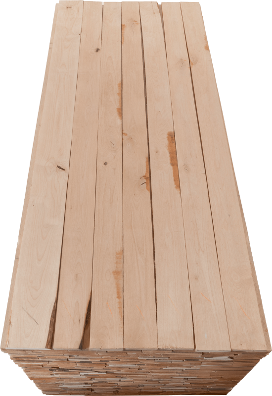 Alder CAB - Front 1