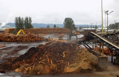 Behind the Boards: Longview