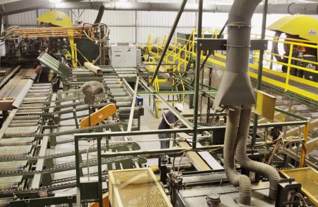 Spotlight on Sawmill Technology
