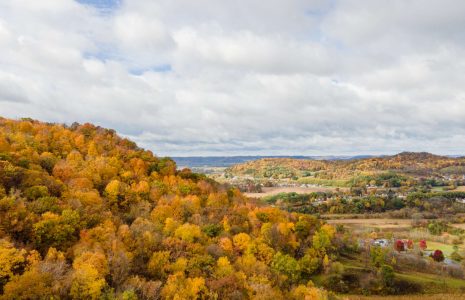 Hardwoods and Our Rural Communities