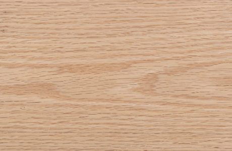 Roble rojo del norte vs. Roble rojo del sur